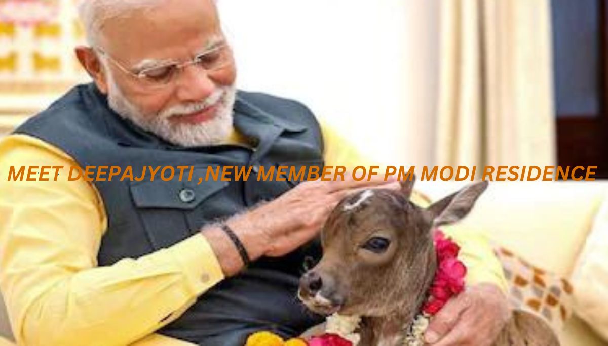 PM Modi Welcomes Newborn Calf ‘Deepjyoti’ at His Residence