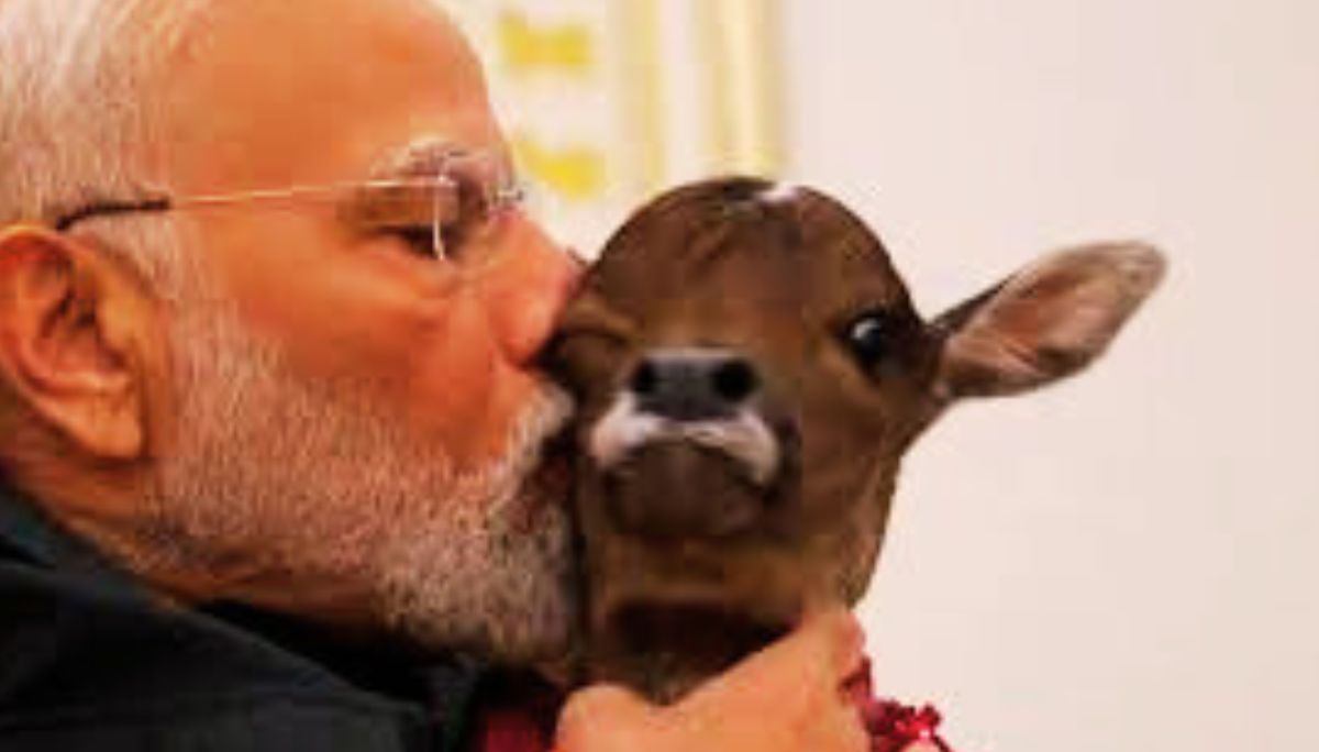 PM Modi Welcomes Newborn Calf ‘Deepjyoti’ at His Residence